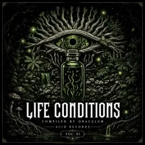Life Conditions, Vol. 1