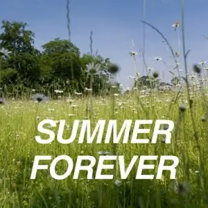 Summer Forever