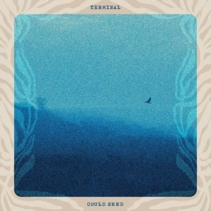 Could Seed - Terminal