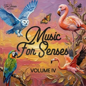 Music for Senses 2026 Music for Senses 2026